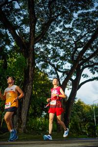 BIB: 
                            <button type="button" onclick="openModal(26551522)" class="btn btn-primary btn-sm float-right btn-popup" data-toggle="modal" data-target=".modal-high-quality">
                        <i class="fas fa-shopping-cart"></i> Add to Cart
                    </button>
                                            <button type="button" onclick="isThisMe(26551522, true)" class="btn btn-success btn-sm float-right btn-popup btn-isme hidden" data-toggle="tooltip" data-placement="bottom" title="นี่คือรูปของคุณใช่ไหม คลิกที่นี่เพื่อเอาเข้าอัลบั้ม">
                        <i class="fas fa-plus"></i> Add to album
                    </button>
                    <button type="button" onclick="isThisMe(26551522, false)" class="btn btn-warning btn-sm float-right btn-popup btn-isnotme hidden">
                        <i class="fas fa-ban"></i> Remove from album
                    </button>